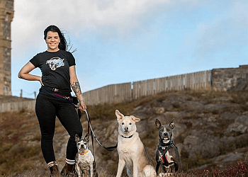 St Johns dog trainer Liv Better Dog Training