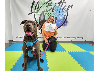 Liv Better Dog Training