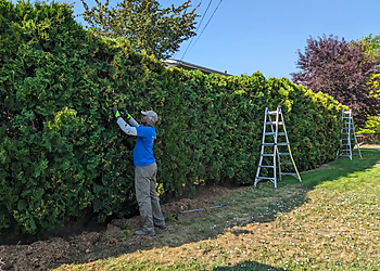 Lively Lawns - Kamloops, BC Lawn Care Services - Job Site Image