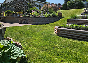 Lively Lawns - Kamloops, BC Lawn Care Services - Service Highlights