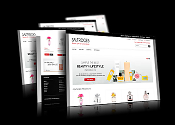 Livewire Web Solutions - Burlington, ON Web Designers - Project Image