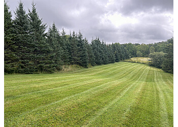 Huntsville lawn care service Local Lawn & Landscaping