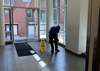 Vancouver pest control Local Pest Control