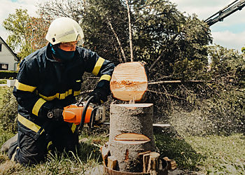 Peterborough tree service Local Tree Removal