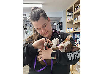 Saint John veterinary clinic Loch Lomond Veterinary Hospital