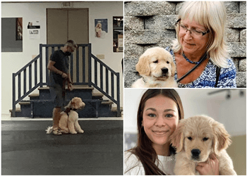 Quebec dog trainer Loisirs Canins