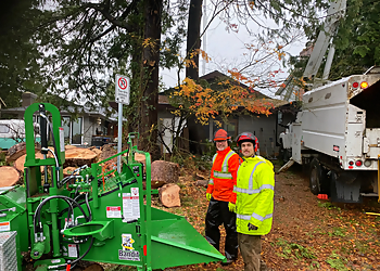 Lombardi Tree Service Lombardi Tree Service - Abbotsford, BC Tree Services - Professional Highlights
