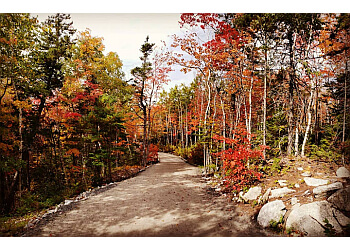 Halifax
Parcs Publics
Long Lake Provincial Park image 1