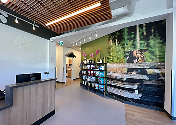 North Vancouver veterinary clinic Lonsdale Place Veterinary Clinic
