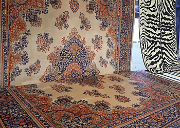 Richmond Hill Nettoyage De Tapis Love Your Rug Cleaning