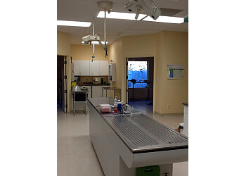 Belleville veterinary clinic Loyalist Veterinary Hospital