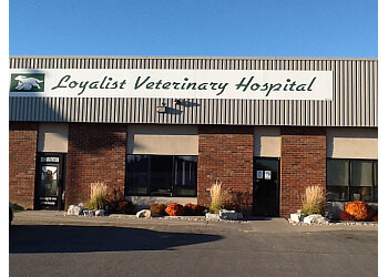 3 Best Veterinary Clinics in Belleville, ON - ThreeBestRated