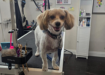 Kitchener Salons de Toilettage Pour Animaux De Compagnie Lucar Grooming Spa