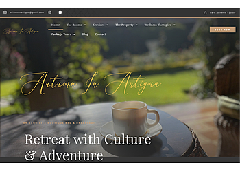 Pickering web designer Luminiscent Marketing