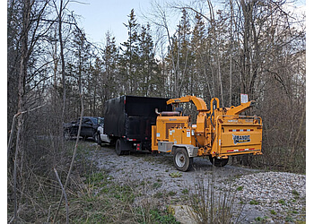 Belleville tree service Lupenette Tree Service