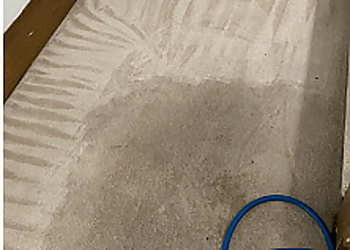 Lush Cleaning Richmond - Richmond, BC Carpet Cleaning - Carpet Cleaning Image