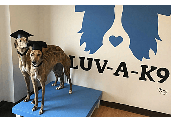 Kingston dog trainer Luv-A-K9 Inc.