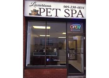 3 Best Pet Grooming In Brampton, ON - ThreeBestRated