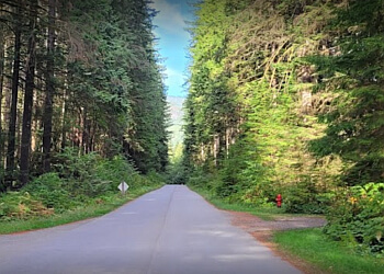 North Vancouver Sentiers De Randonnée Lynn Canyon Park