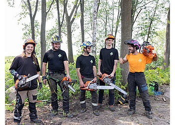 Laval Services d'arboriculteur L'Émondeur du Nord