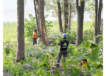 Laval Services d'arboriculteur L'Émondeur du Nord