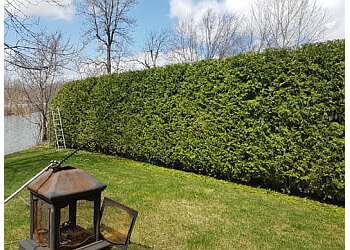 Saint Jean sur Richelieu Service D'Entretien De Pelouse MAB Entretien