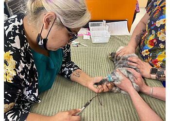 Nanaimo veterinary clinic Mahalo Veterinary Hospital