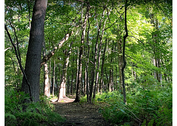 Windsor hiking trail Malden Park