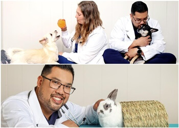 Orillia veterinary clinic Mariposa Veterinary Hospital