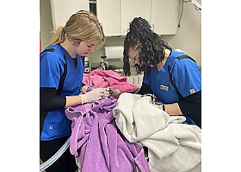 Moncton Cliniques Vétérinaires Maritime Animal Hospital