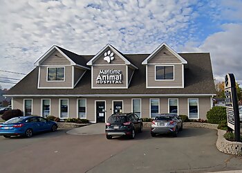 Moncton
Cliniques Vétérinaires
MARITIME ANIMAL HOSPITAL  image 1