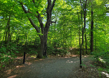 Ottawa Sentiers De Randonnée Mer Bleue Bog