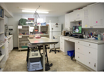 Pickering veterinary clinic Millennium City Veterinary Hospital