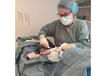 St Albert Cliniques Vétérinaires Mission Ridge Animal Hospital