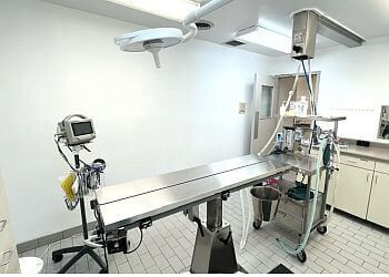 Kitchener veterinary clinic Mitchell Animal Hospital