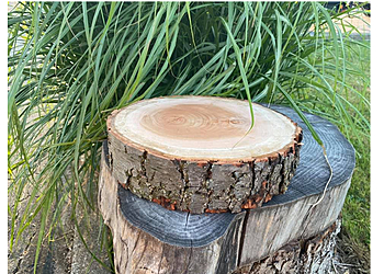 Brantford Services d'arboriculteur M & M Tree Service