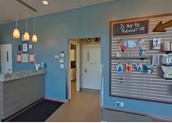 Halton Hills veterinary clinic Mountainview Animal Hospital
