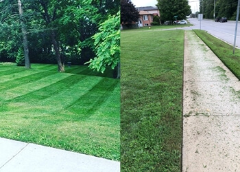 Oshawa lawn care service Mr. Trim Lawn & Garden Services