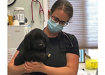 Prince George veterinary clinic Murdoch Veterinary Clinic Ltd
