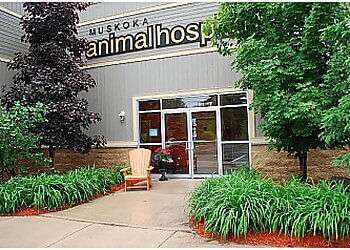 Huntsville veterinary clinic MUSKOKA ANIMAL HOSPITAL image 1