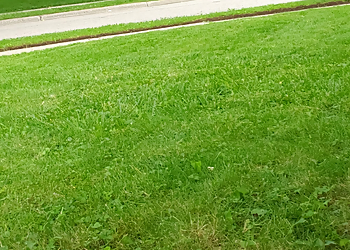 Stratford lawn care service MacDonald Property Maintenance