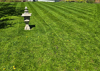 Stratford lawn care service MacDonald Property Maintenance