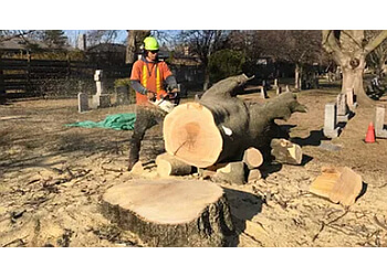 Halton Hills Services d'arboriculteur Macarthur's Tree And Home Services Inc.