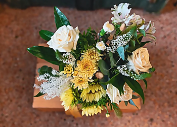 Madame Alice Fleuriste - Quebec, QC Florists