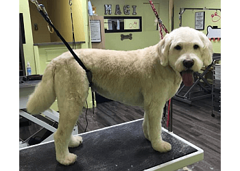 Saint Jean sur Richelieu Salons de Toilettage Pour Animaux De Compagnie Magi Salon de Toilettage