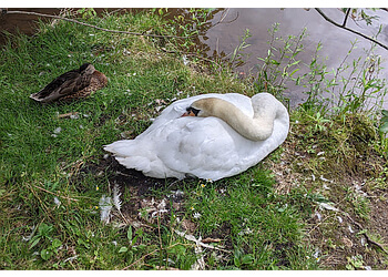 Moncton Attraction touristiques Magnetic Hill Zoo