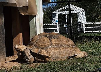 Moncton Attraction touristiques Magnetic Hill Zoo
