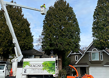 Magnolia Tree Service Magnolia Tree Service - Richmond, BC Services d'arboriculteur - Truck Image