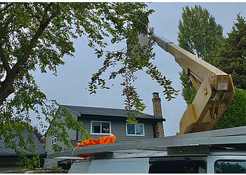 Richmond tree service Magnolia Tree Service