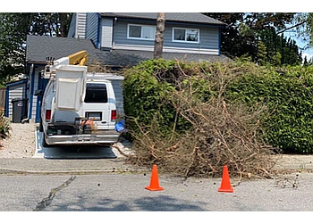 Richmond tree service Magnolia Tree Service